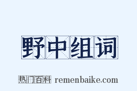 野中组词是什么意思的图片